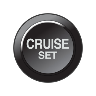 Picture of LINK 101-0260 - CAN Keypad Insert - Cruise Set